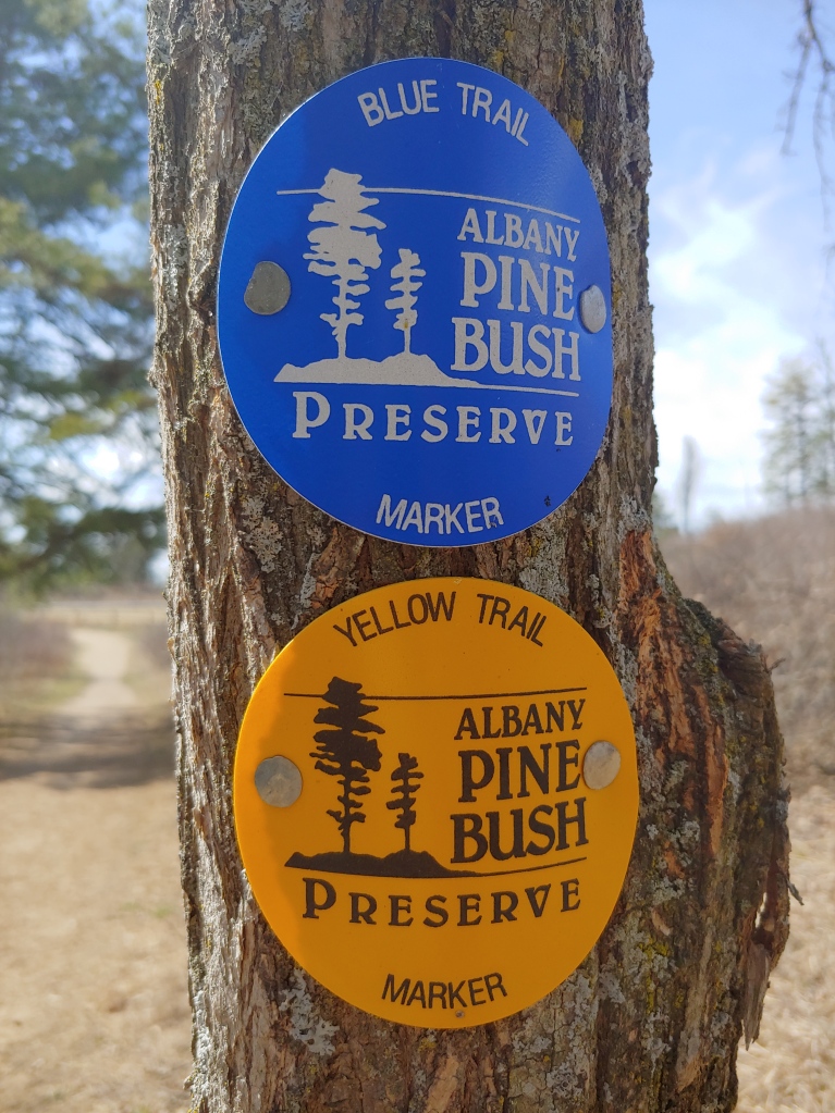 Exploring The Albany Pinebush